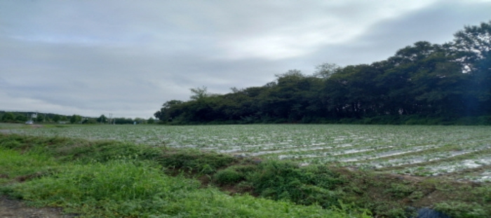 목록1 토지 일부 전경