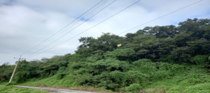 목록1 토지 일부 전경