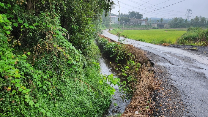 기호(1) 남동측 구거 부분