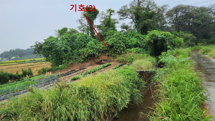 기호(2) 남동측 구거 부분