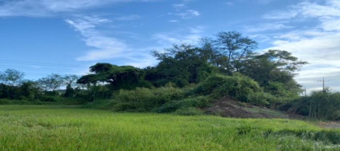 목록1 토지 일부 전경