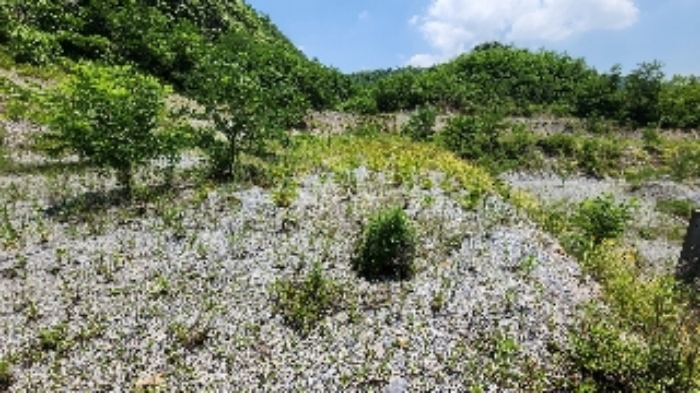 본건 1 전경