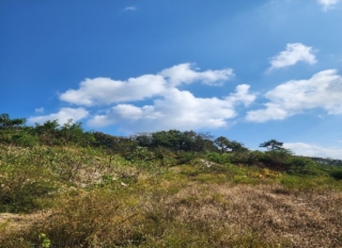 충청북도 영동군 용산면 천작리 산12-1,산33-1