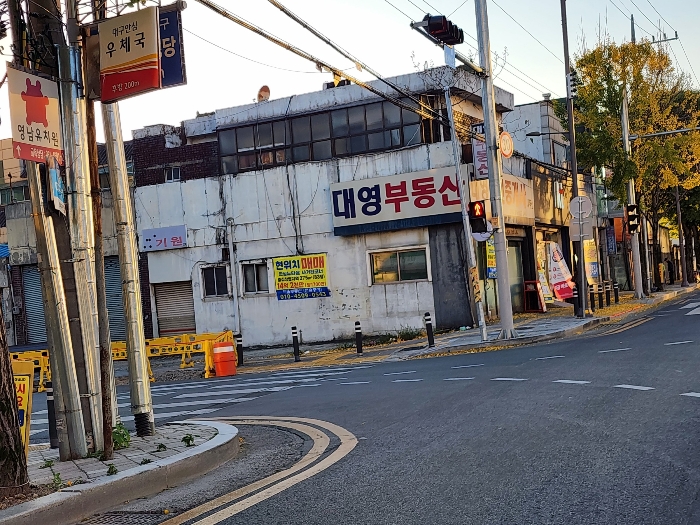 기호 1) 동측 근경