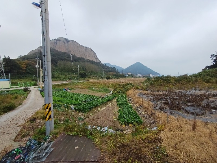 본건전경(일련번호1,2)