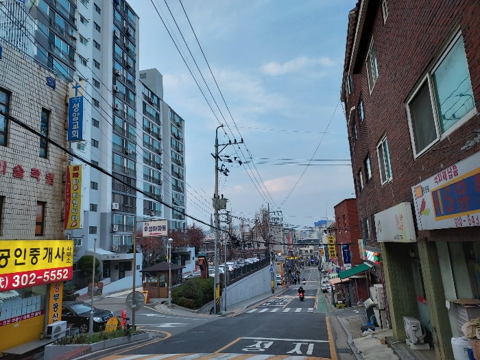 주위환경(정문 도로변)