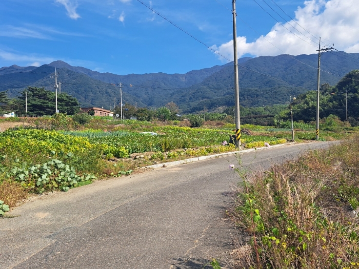 본건 전경