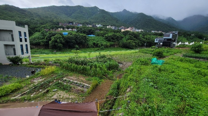 본건 전경