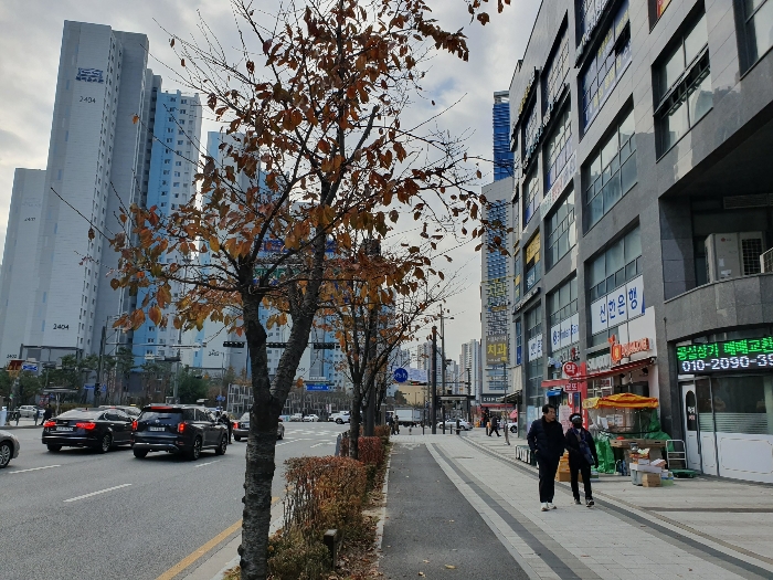 본건 남측 도로