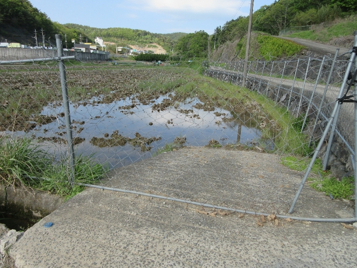 【 본 건 기호