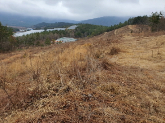 부동산표시 1번 전경