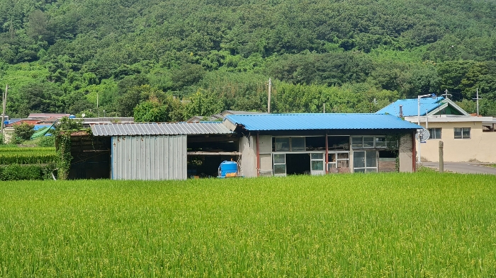 본건 기호(2) 건물 전경