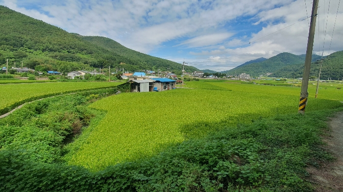 본건 기호(1) 토지 전경