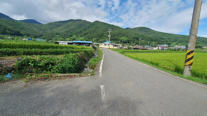 본건 기호(1) 토지 주변환경