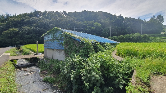 본건 기호(2) 건물 후면