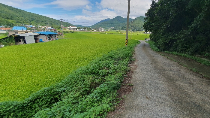 본건 기호(1) 토지 주변환경