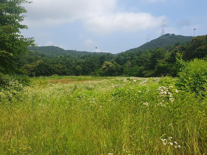 본건 전경