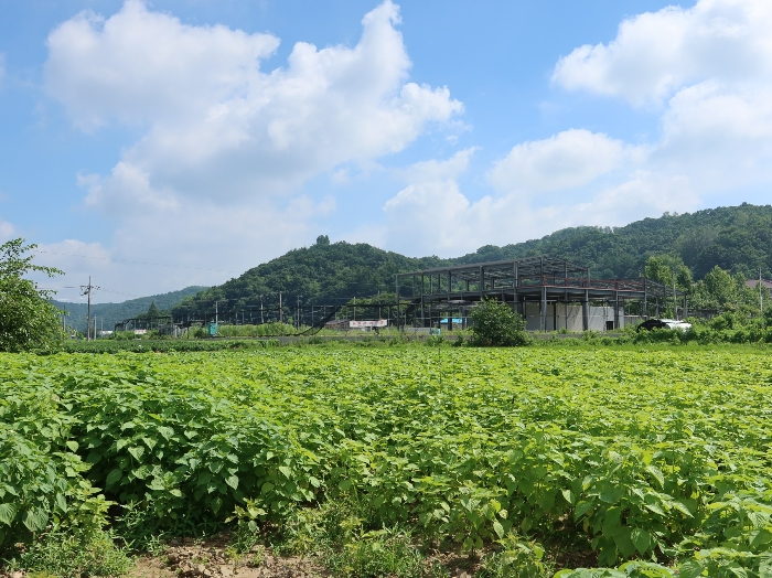 남서측에서 촬영