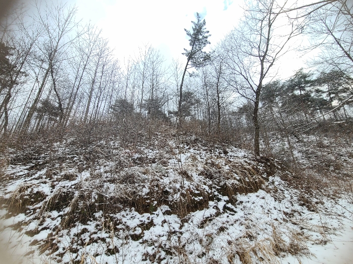 본건 내부 전경