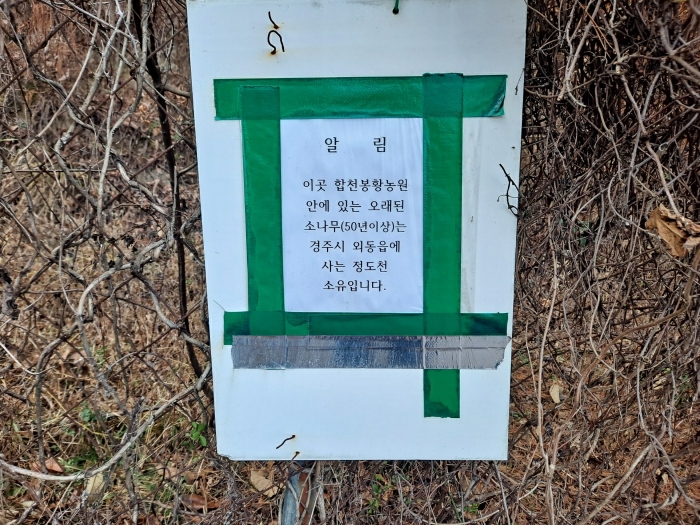 제시외수목 ② 명인된 표지