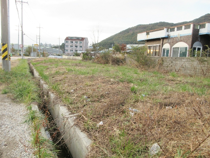 【 본 건 기호