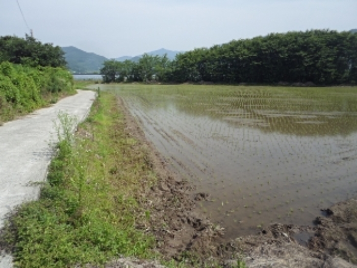 본건 전경