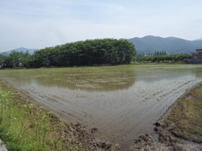 본건 전경