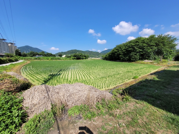 본건 전경