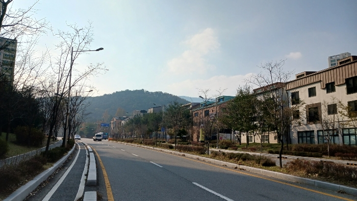 본건 인근 대로변