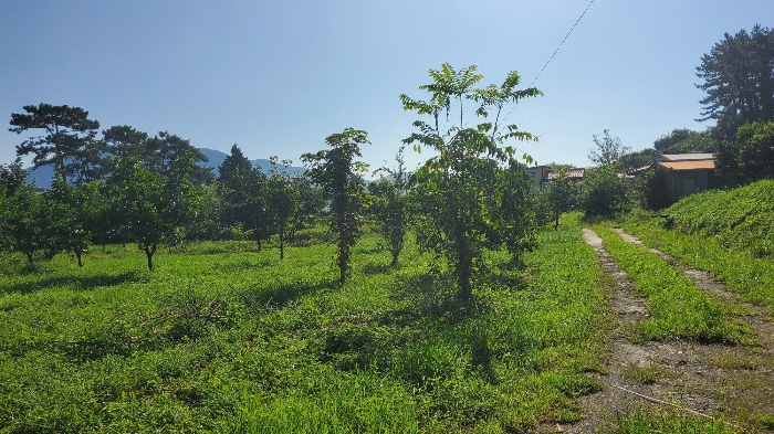 [ 본건 전경