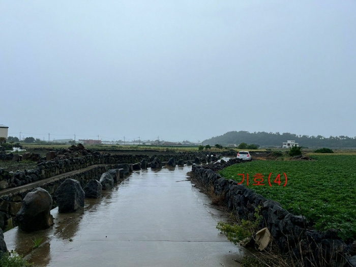 기호(4) 남동측 주변전경