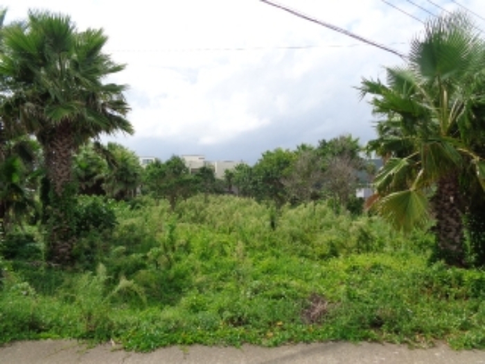 본건(고성리 774-9)