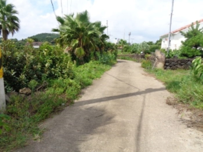 본건(고성리 774-9) 인접도로 전경