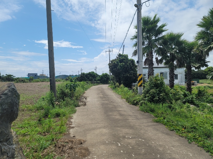 접면도로 및 주위환경