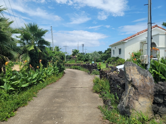 접면도로 및 주위환경