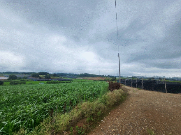 본건 부동산 전경1