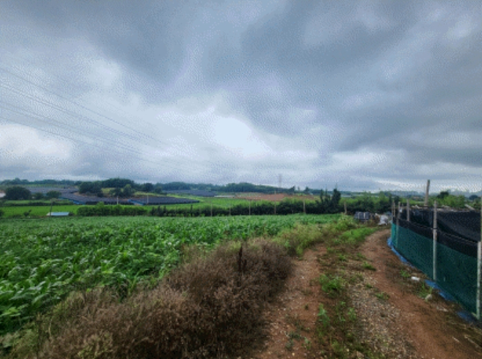 본건 부동산 전경2