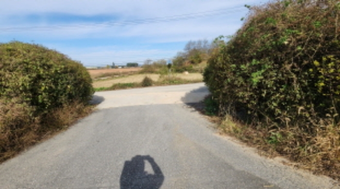 목록2 토지 전경