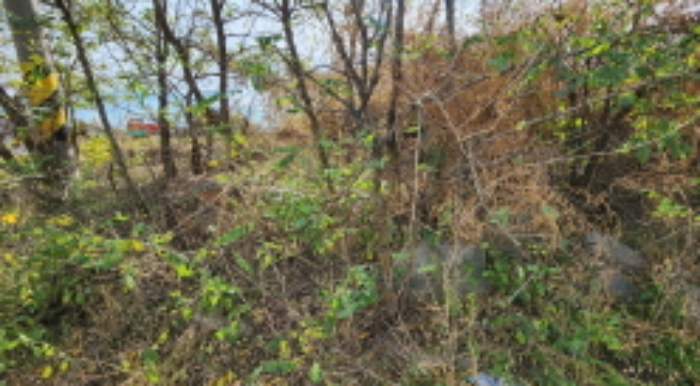 목록3 토지 전경