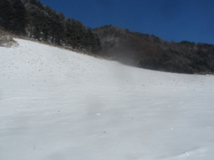 기호 2번 근거리에서 촬영한 것임