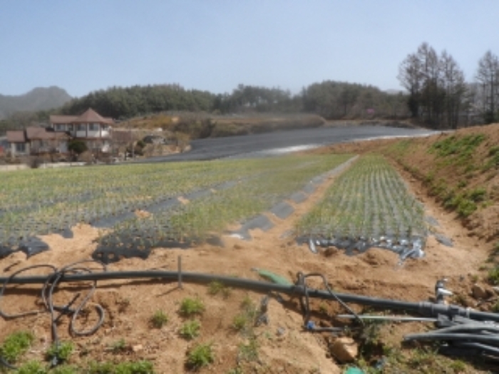 본건 근거리에서 촬영한 것임