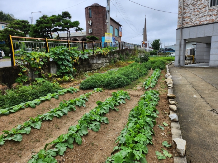 본건 전경(동측부분)