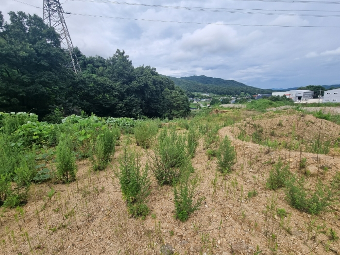 일련번호 4) 전경(서측에서 촬영)