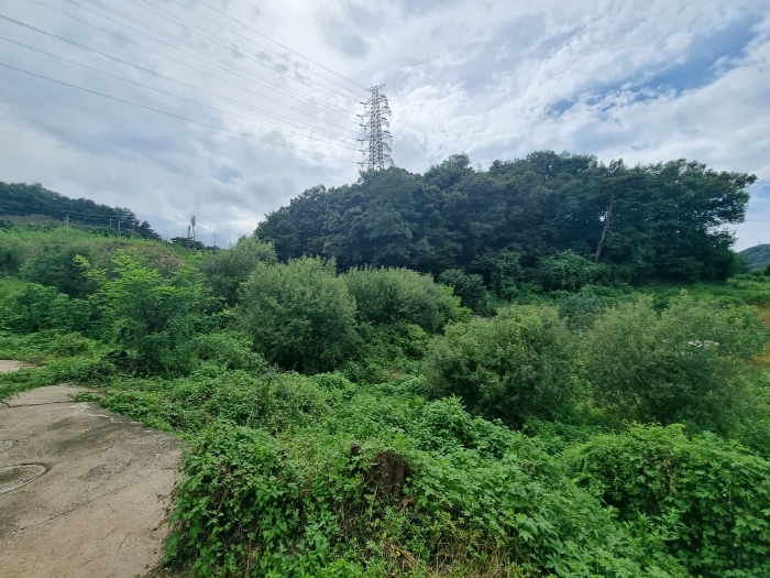 일련번호 1) 전경(북동측에서 촬영)