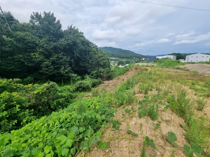 일련번호 1) 전경(남서측에서 촬영)