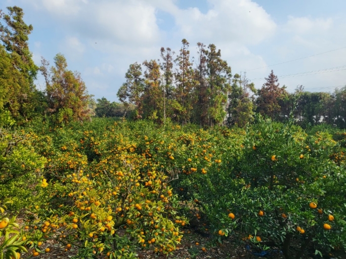 본건 전경