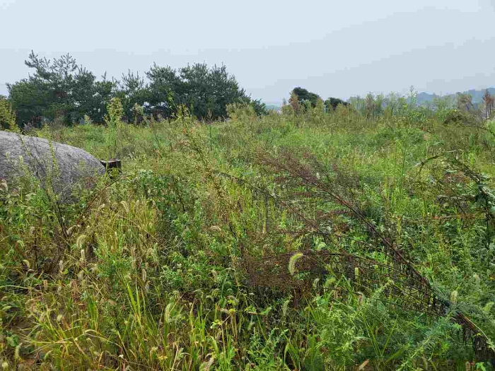 제시 목록 15 부동산