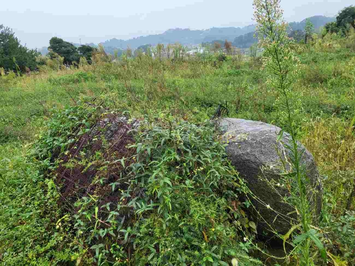 제시 목록 15 부동산(바윗돌)