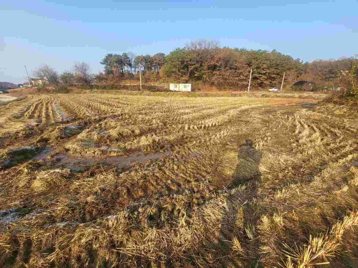 제시 목록 4 부동산