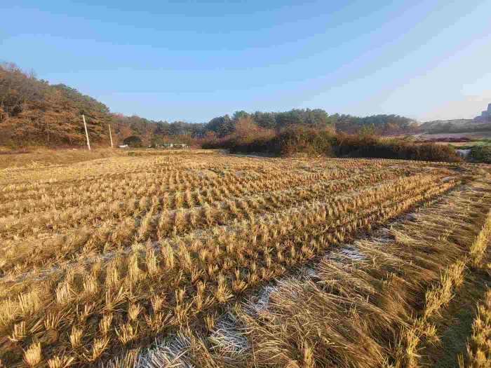 제시 목록 4 부동산